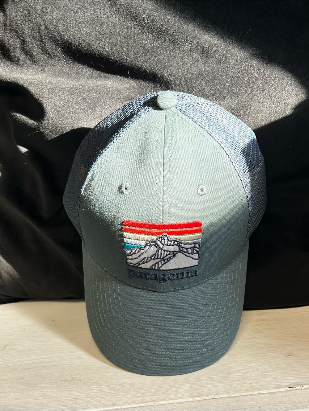 Line logo ridge Lo pro Patagonia Green and Gray Trucker Hat